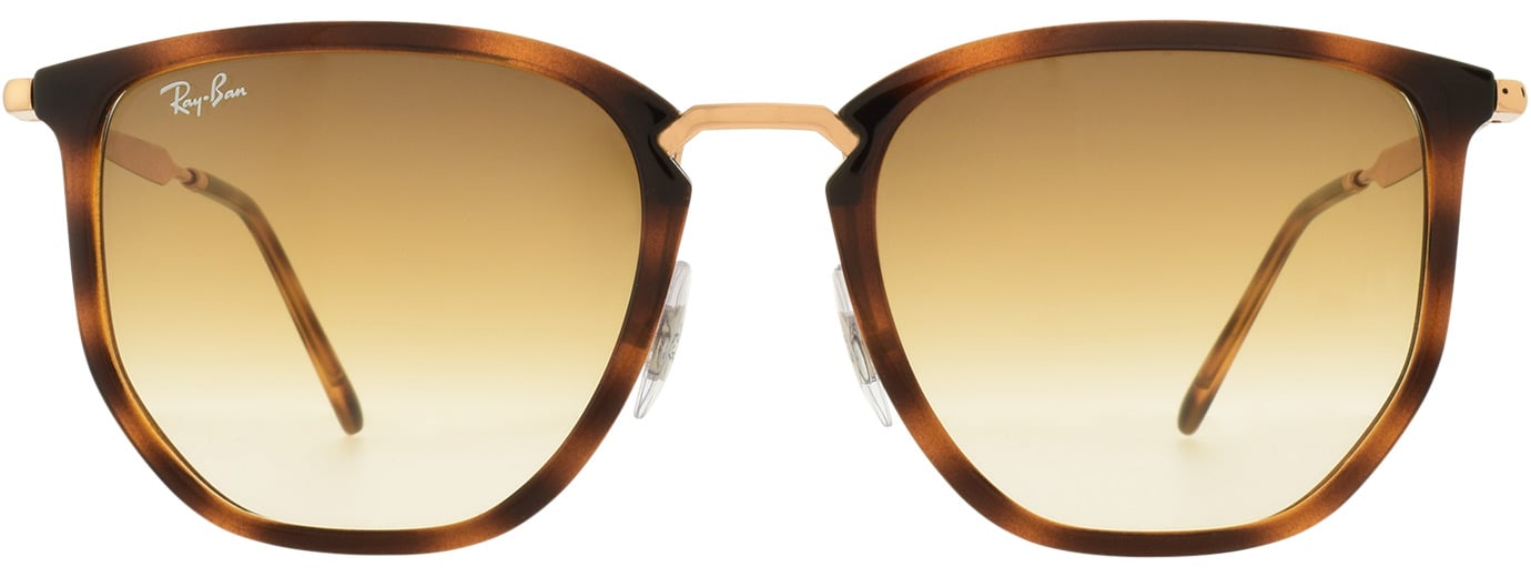 Ray-Ban 4451 21