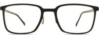Rodenstock R7173 11