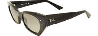 Ray-Ban 4430 31