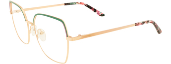 Hans Anders MM004828