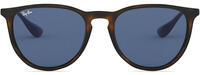 Ray-Ban Erika 4171 51