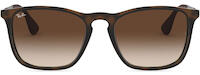 Ray-Ban 4187 31