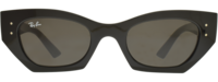 Ray-Ban 4430 21