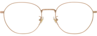 Ray-Ban 8778 21