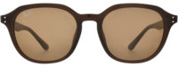Ray-Ban 4459 21