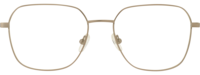 Dysygn 21
