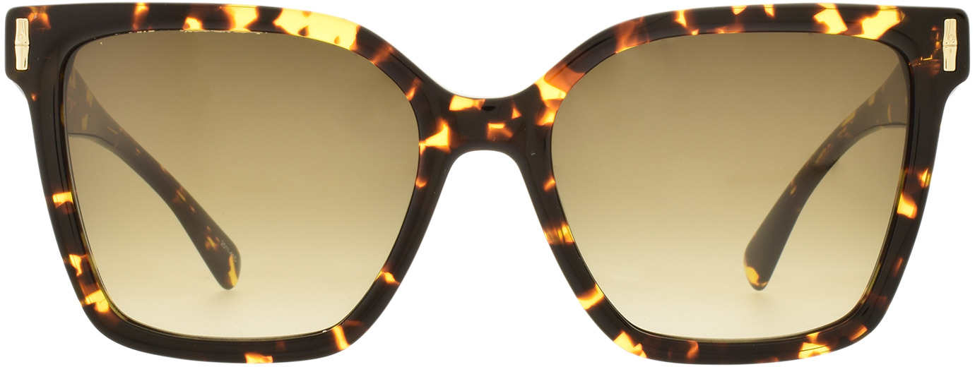Longchamp 802S 21