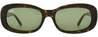 Ray-Ban 11