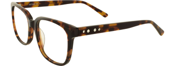 Hans Anders