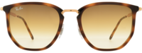 Ray-Ban 4451 21