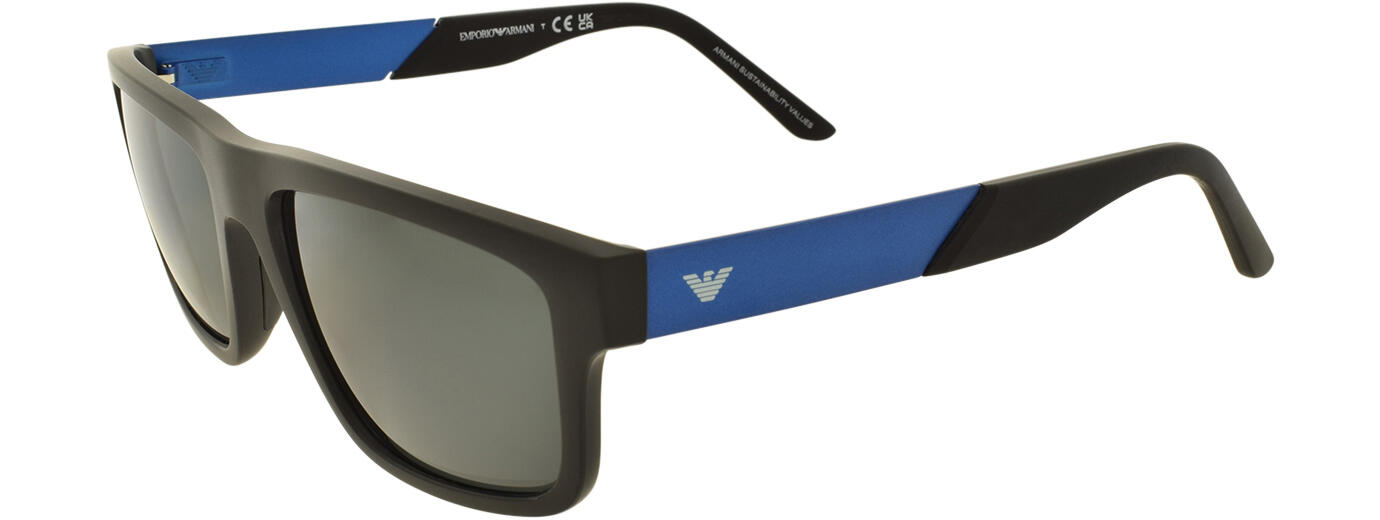 Emporio Armani Sun 0EA4244U 01