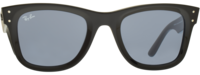 Ray-Ban 0502 21