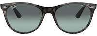 Ray-Ban Wayfarer II 2185 11