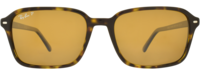 RAY-BAN 0RB2231 51