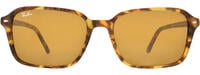 RAY-BAN 0RB2231 11