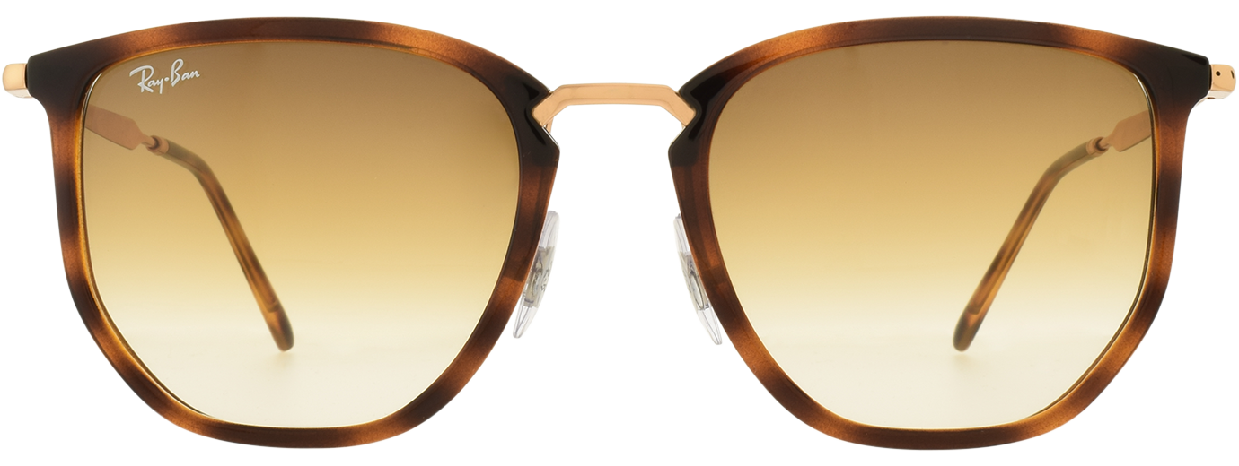 Ray-Ban 4451 21