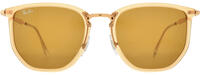 Ray-Ban 4451 11