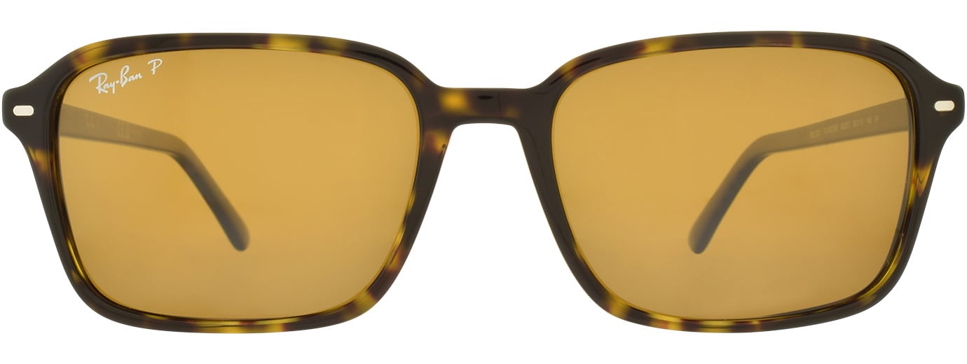 RAY-BAN 0RB2231 51