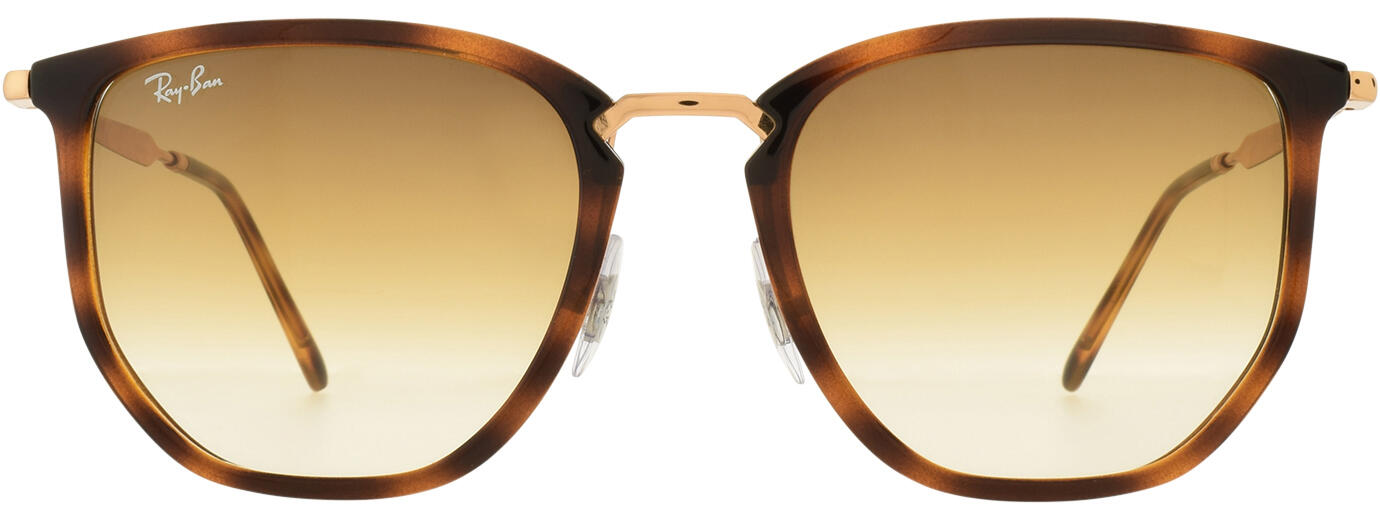 Ray-Ban 4451 11