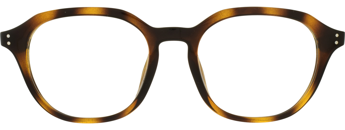 Ray-Ban 0RX7259D 21