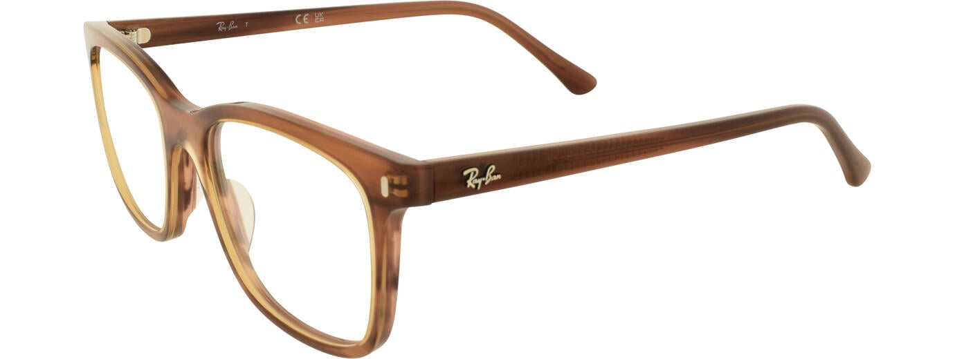 Ray-Ban 31