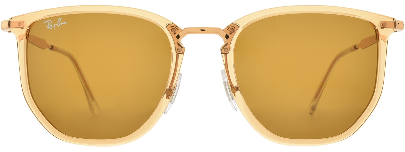 Ray-Ban 4451 21