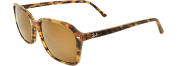 RAY-BAN 0RB2231