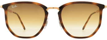Ray-Ban 4451