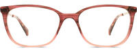 Ted Baker 9317 11