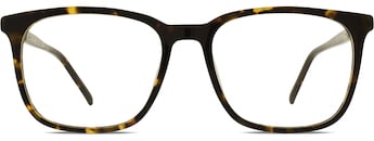 Pierre Cardin 6253
