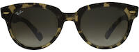 Ray-Ban 0RB2199 11