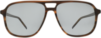 Hugo Boss 21