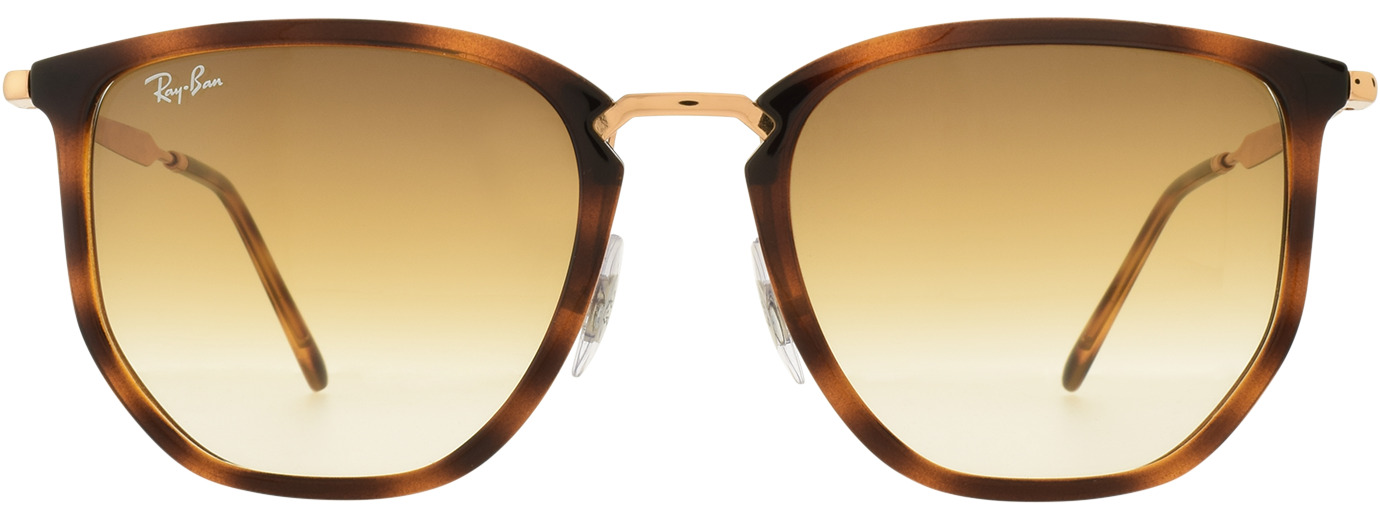Ray-Ban 4451 21